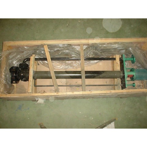 R10Z738 DONG FANG PUMPS Pump submerged - Type 50ILX-125 - hp3