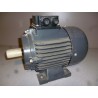 Motor with brake 1,5 hp - 1500 rpm - 220/380 volts